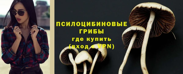 соль ск Аркадак
