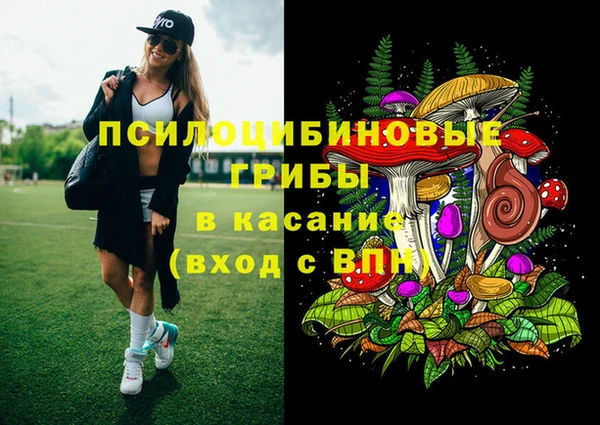 герыч Арсеньев