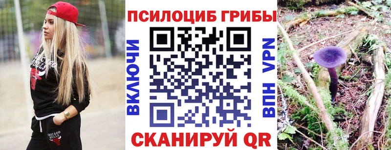 Псилоцибиновые грибы Psilocybe Людиново